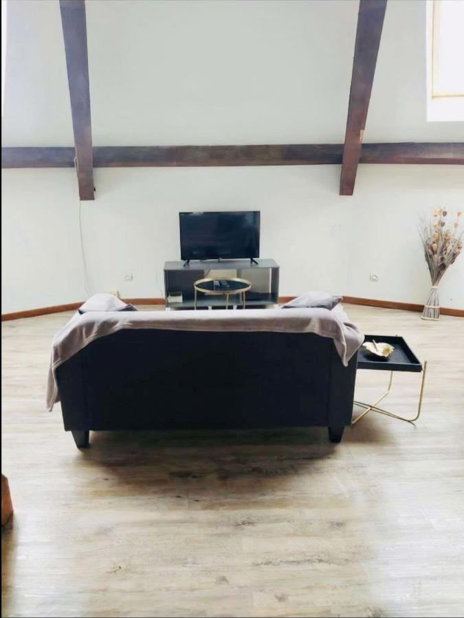 Superbe Appartement Cocooning Proche Des Thermes Виттель Экстерьер фото